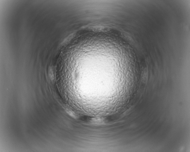 X0000078880335200612042031