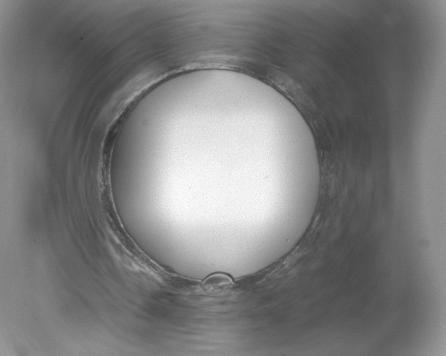 X0000078880338200612042030