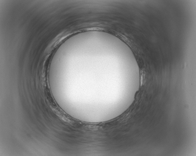 X0000078880339200612042030