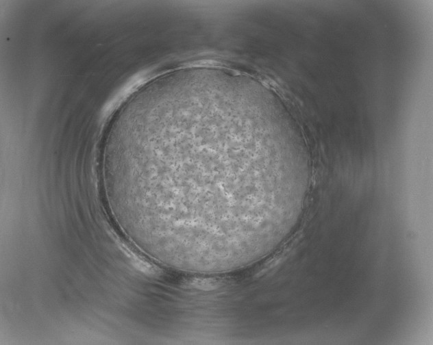 X0000078880341200612042030