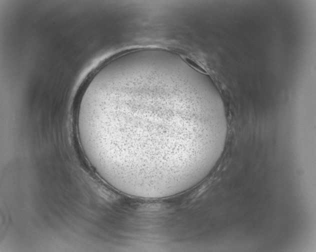 X0000078880342200612042030