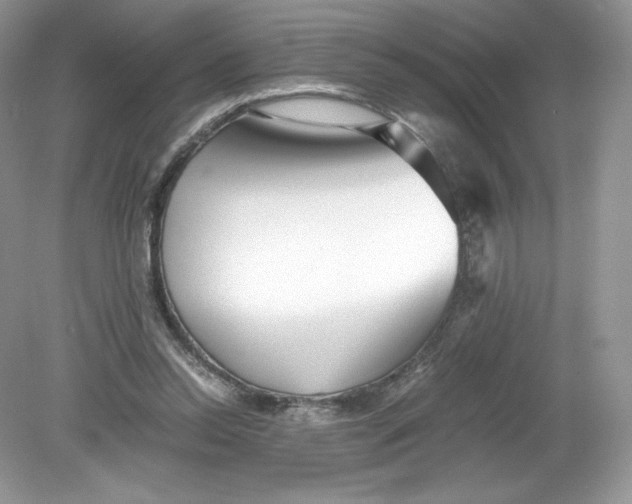 X0000078880350200612042030