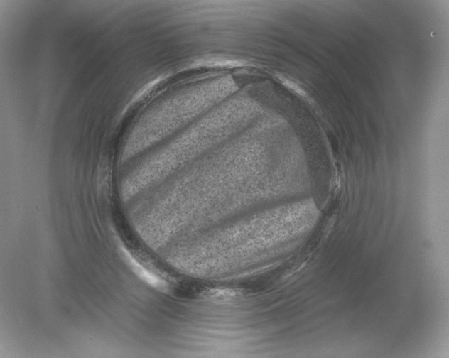 X0000078880352200612042030