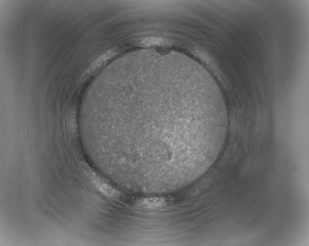 X0000078880353200612042030