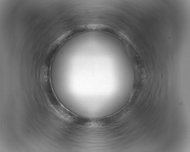 X0000078880356200612042030