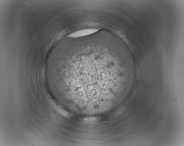 X0000078880357200612042030