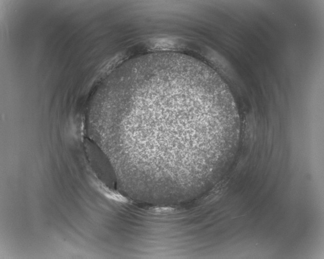 X0000078880361200612042030