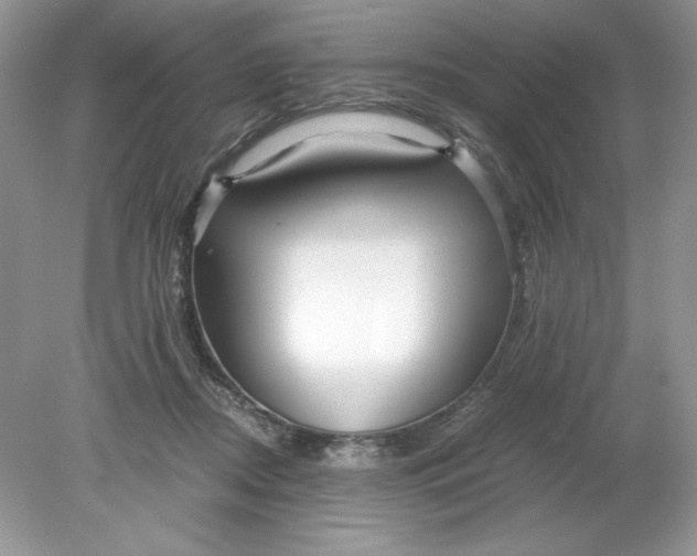 X0000078880362200612042030