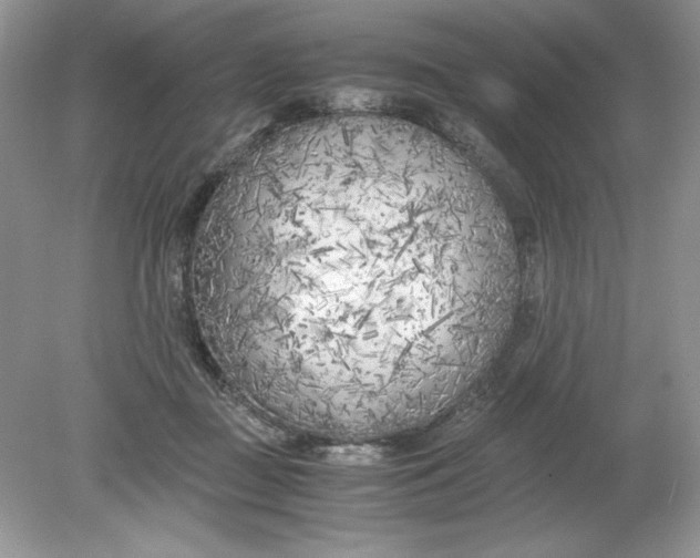 X0000078880363200612042030