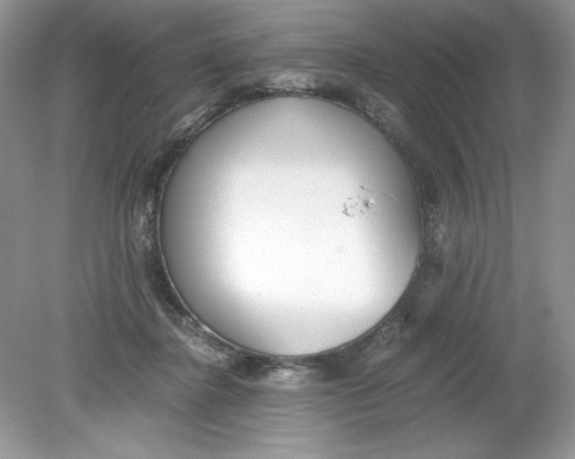 X0000078880364200612042030