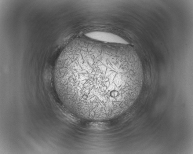 X0000078880367200612042030