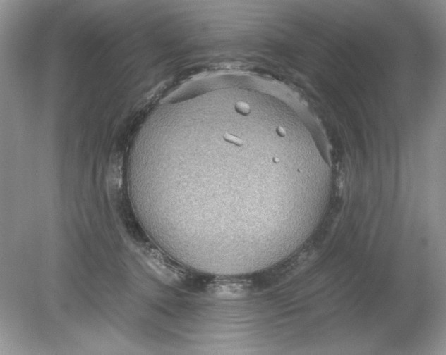 X0000078880368200612042030