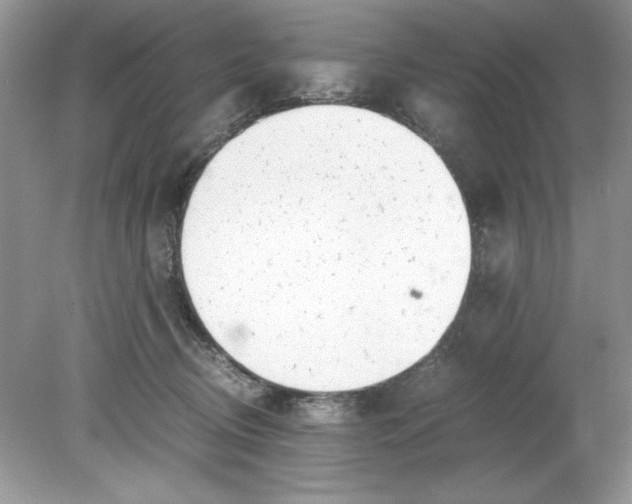 X0000078880370200612042030