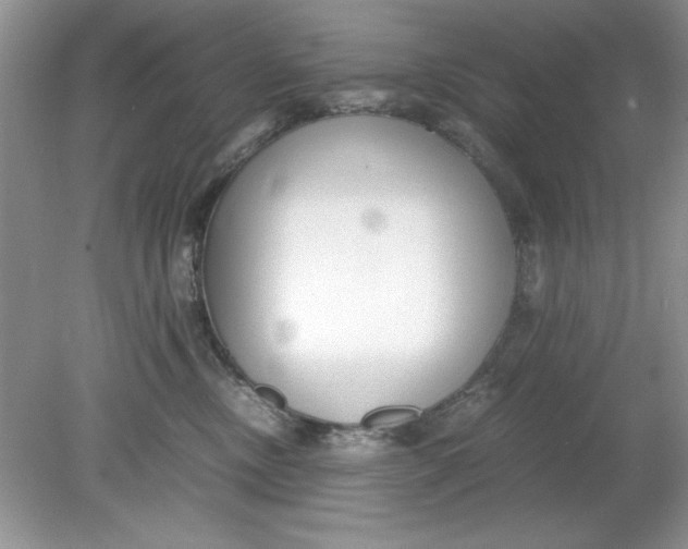 X0000078880378200612042030