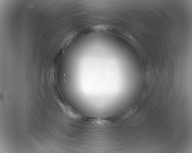 X0000078880379200612042030