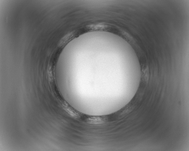 X0000078880381200612042030