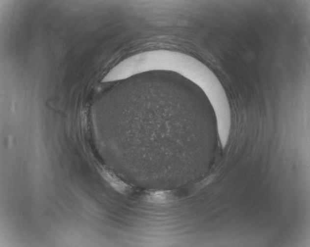 X0000078880382200612042030