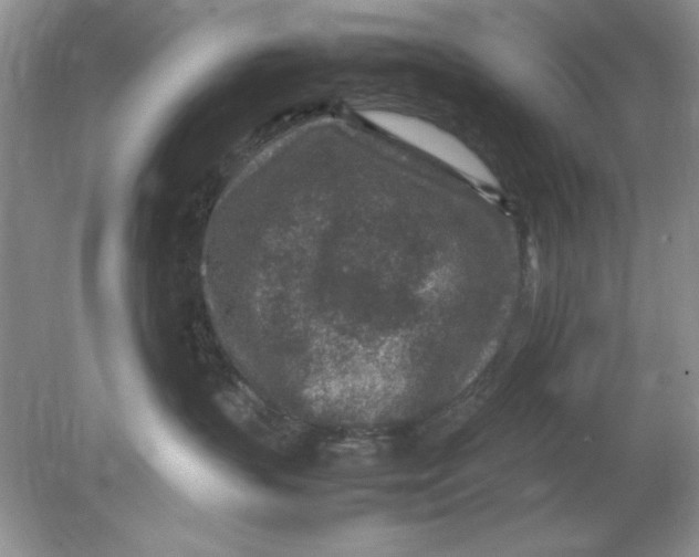 X0000078880383200612042030