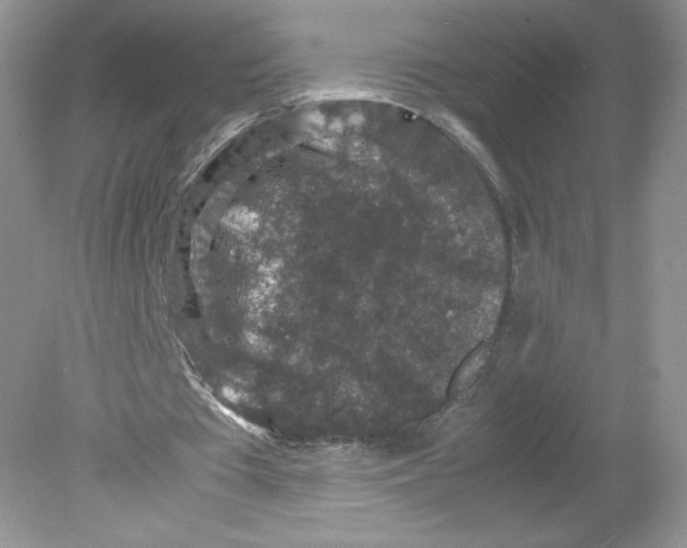 X0000078880385200612042030