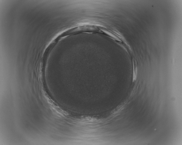 X0000078880387200612042030