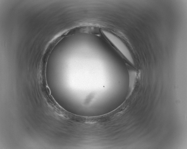 X0000078880388200612042030