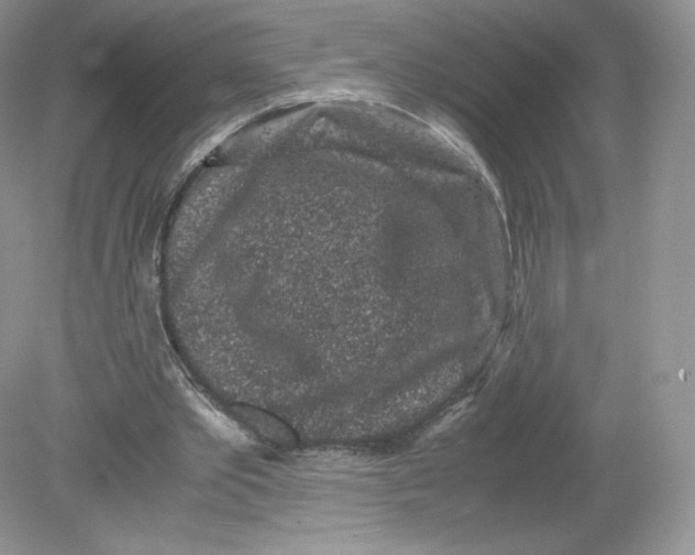 X0000078880389200612042030