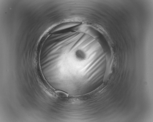 X0000078880392200612042030