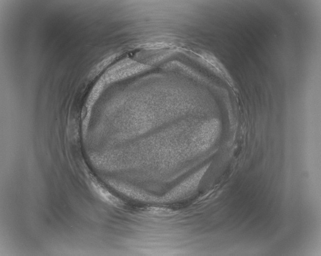 X0000078880393200612042030