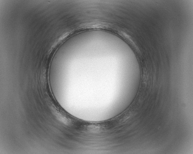 X0000078880394200612042030