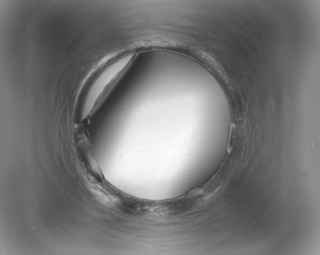 X0000078880395200612042029