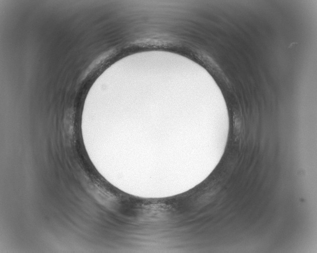 X0000078880396200612042029