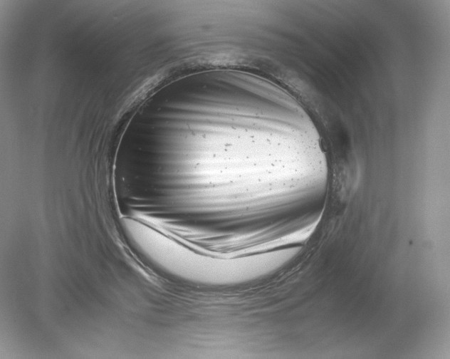 X0000078880397200612042029