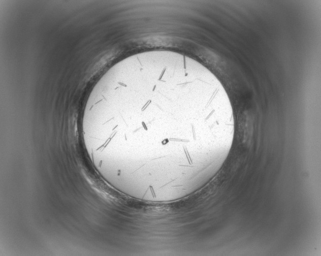 X0000078880398200612042029