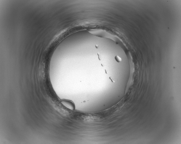 X0000078880400200612042029