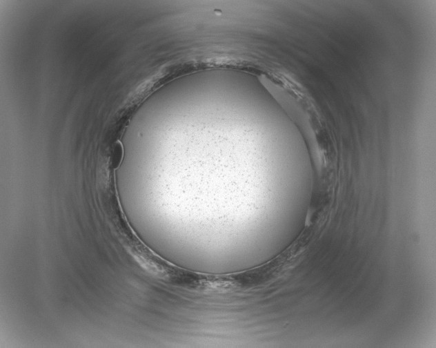 X0000078880401200612042029