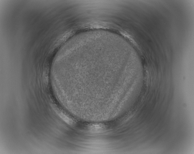 X0000078880402200612042029