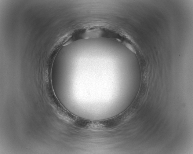 X0000078880403200612042029