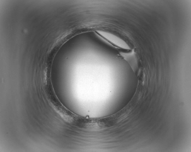 X0000078880404200612042029