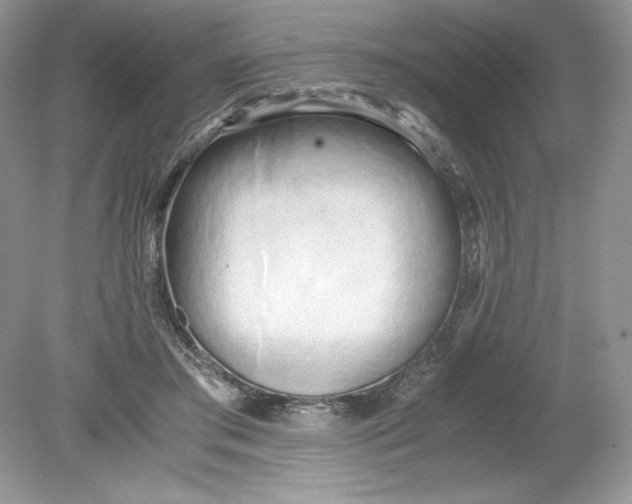 X0000078880405200612042029