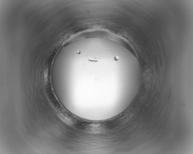 X0000078880406200612042029