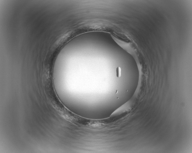 X0000078880407200612042029