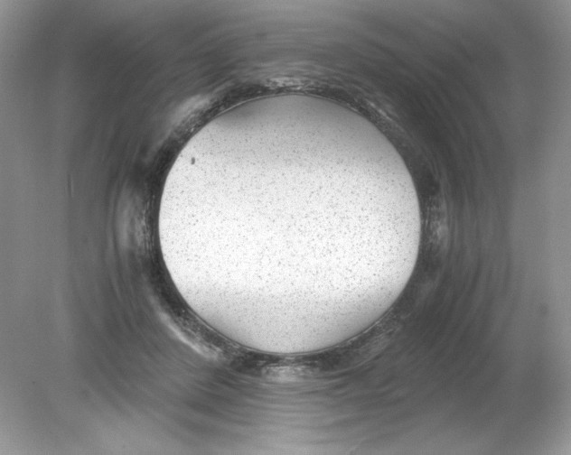 X0000078880408200612042029