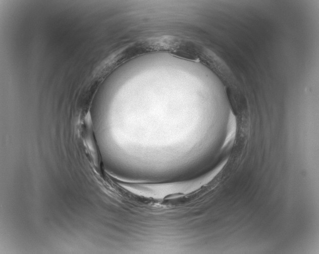 X0000078880409200612042029