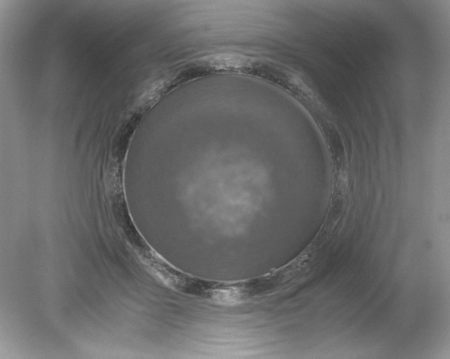 X0000078880411200612042029