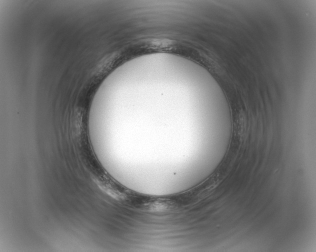 X0000078880412200612042029