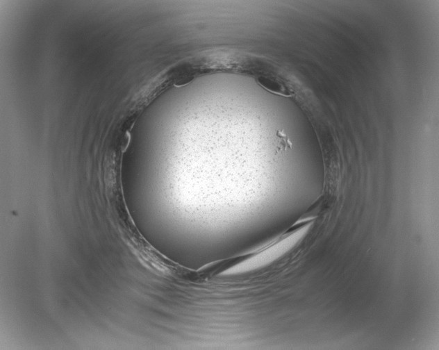 X0000078880413200612042029