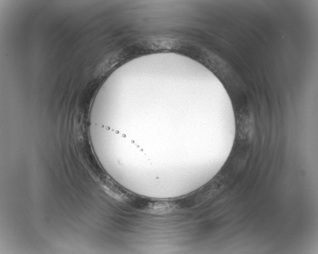 X0000078880414200612042029