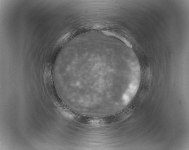 X0000078880415200612042029