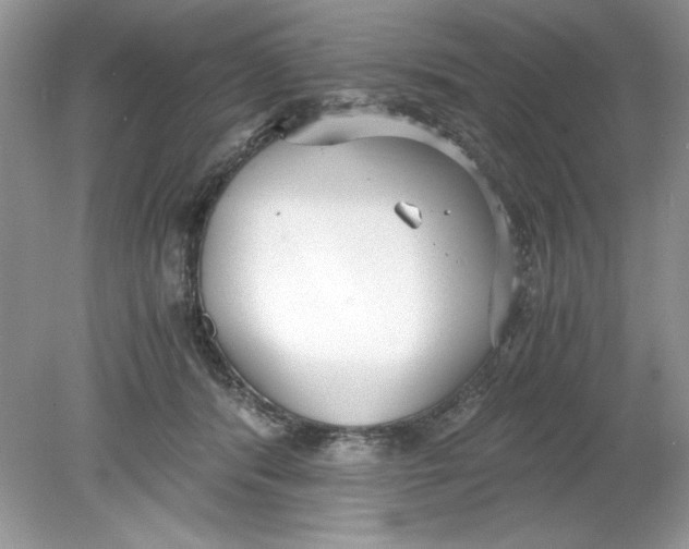 X0000078880416200612042029