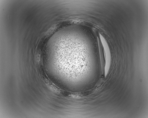 X0000078880417200612042029